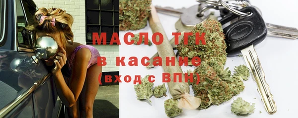 шишки Коряжма