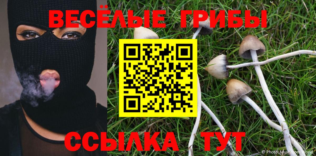 Галлюциногенные грибы Psilocybine cubensis Кохма